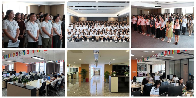 Electrical steel Electrical steel